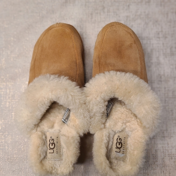 UGG AUSTRALIA REAL SHEEP LINED CLOG - Picture 6 of 8